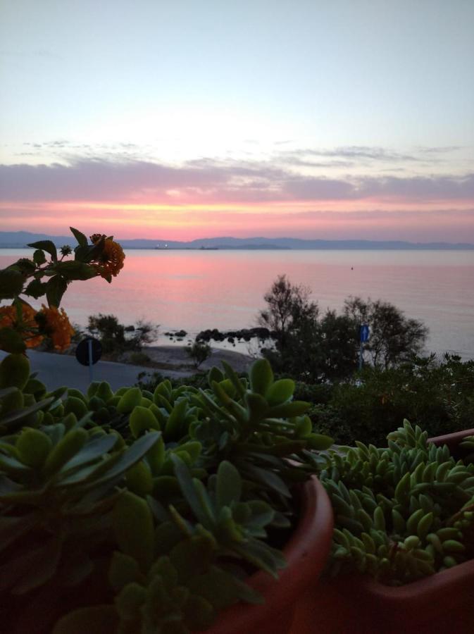 Casa Bon' Aria Fronte Mare Sud Sardegna Villa La Maddalena  Dış mekan fotoğraf